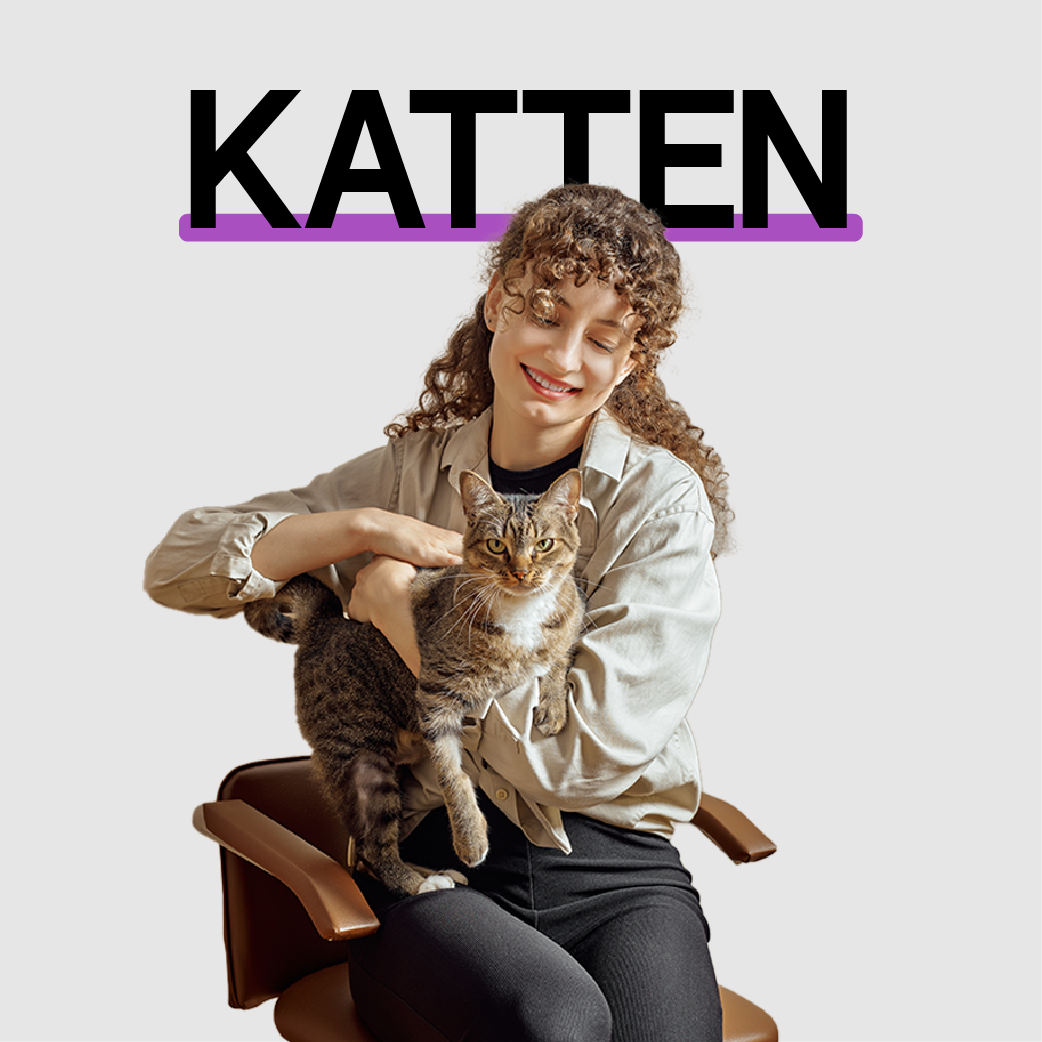 Katten