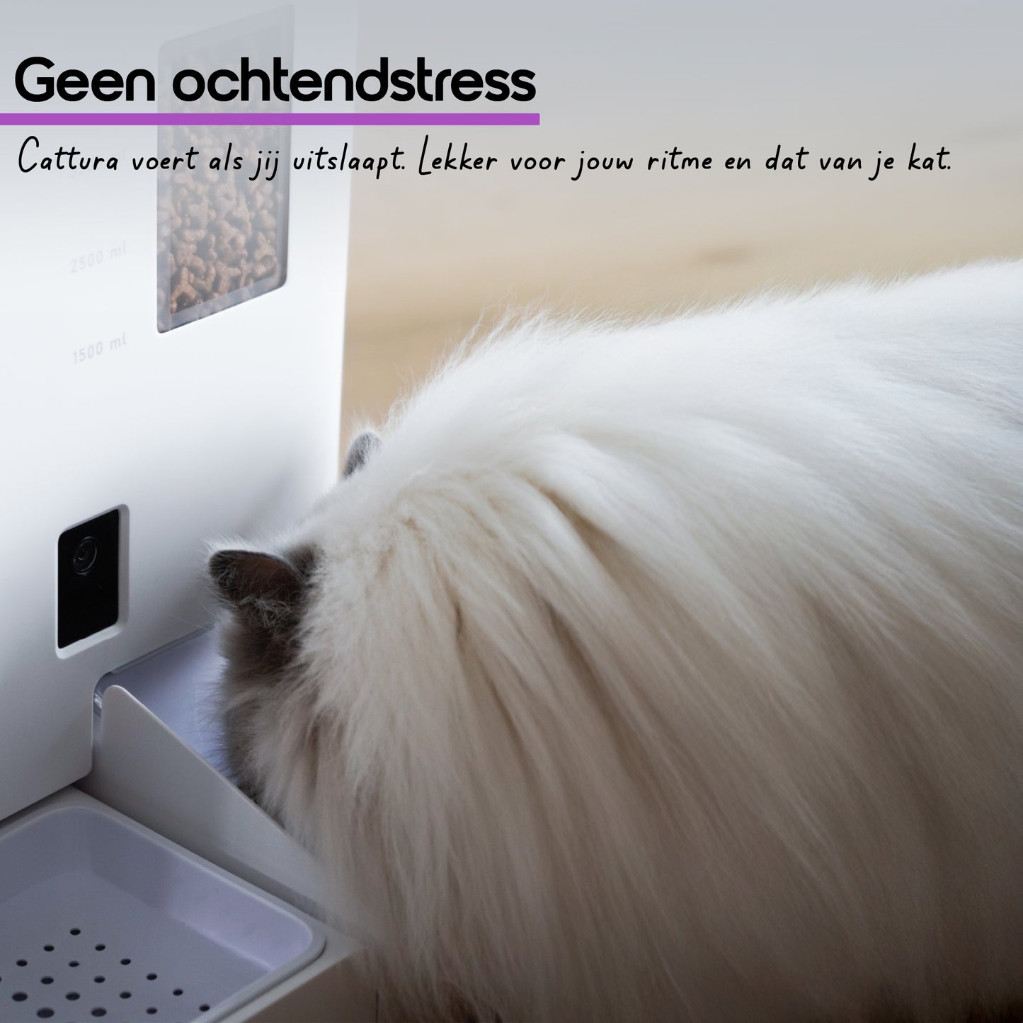 Video Voederbak