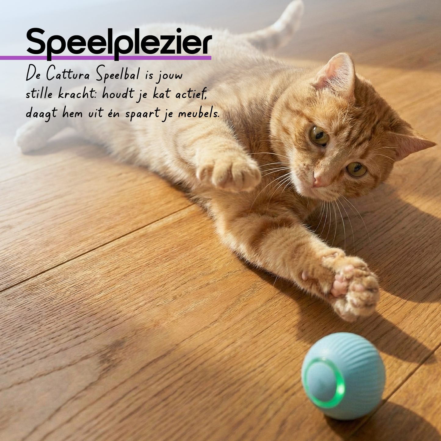 Automatische Kattenbal