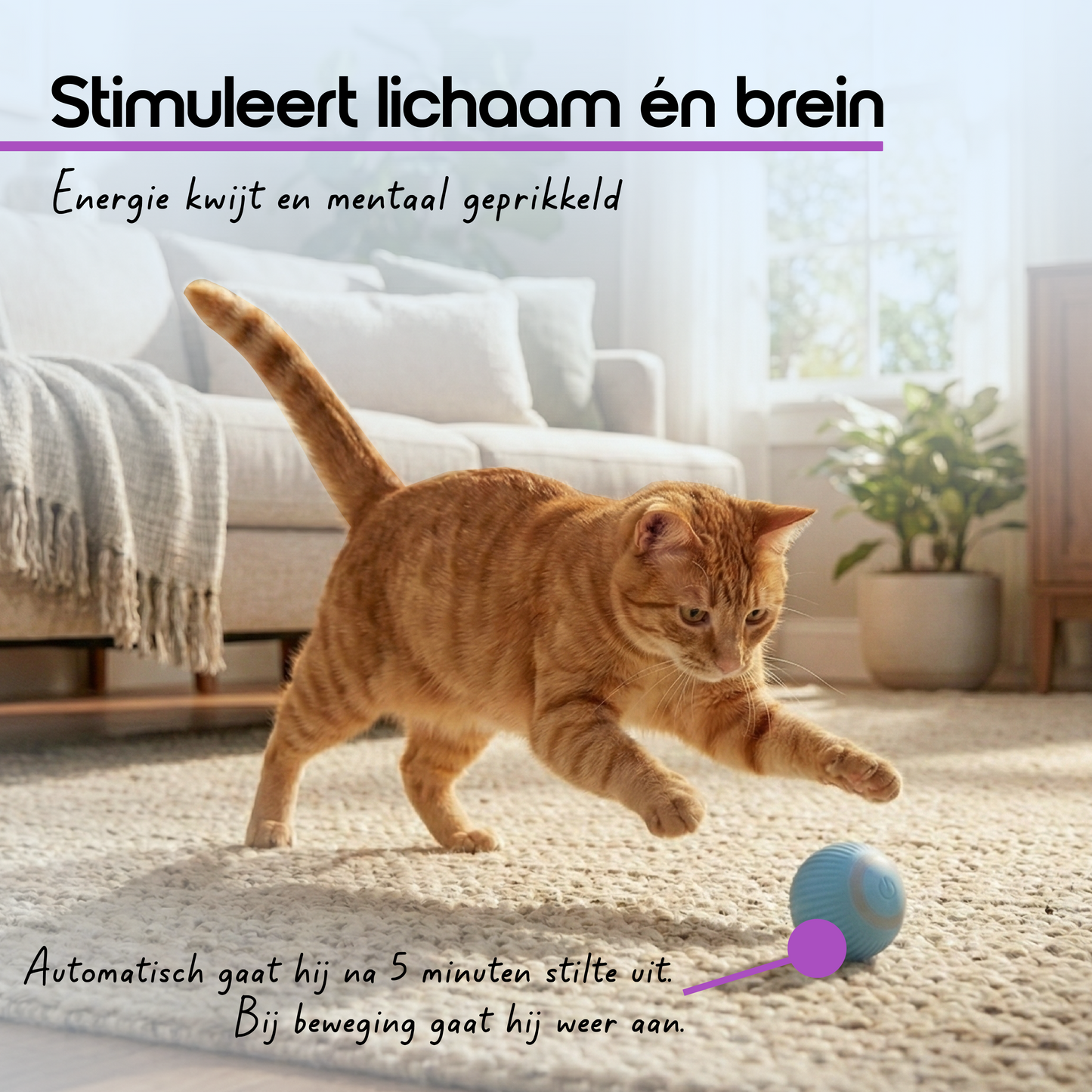 Automatische Kattenbal